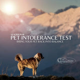 Glacier Peak Holistics Original Pet Intolerance Test - Test Over 300 Food and Environmental Stressors with an Easy at-Home Hair and Saliva Collection Kit - Results in 5-7 Days.