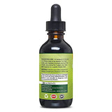 Go Nutrients Intestinal Edge Gut Detox Cleanse for Humans: Enhance Digestive Health, Boost Energy, Clear Skin with Black Walnut, Wormwood, Clove & Gentian Root for Adults & Kids 2oz Liquid Drops