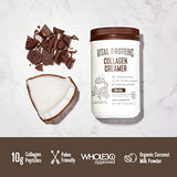Vital Proteins Collagen Coffee Creamer, Coconut Milk based & Low Sugar Powder with Collagen Peptides Supplement - Supporting Healthy Hair, Skin, Nails with Energy-Boosting MCTs - Mocha 11.2oz