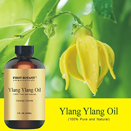 100% Pure Ylang Ylang Oil - Premium Ylang-Ylang Essential Oil for Aromatherapy, Massage, Topical & Household Uses - 1 fl oz (Ylang Ylang)