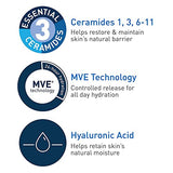 CeraVe Moisturizing Lotion Daily 12 Ounce Pump (355ml) (2 Pack)