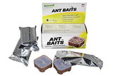 RESCUE! Ant Baits – Indoor Ant Killer, Ant Trap Alternative - 4 Pack (24 Bait Stations)
