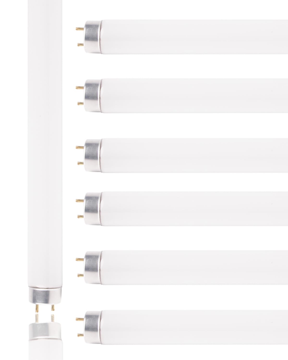 coospider-repta 6 Pack Bug Zapper Replacement Light Bulb 10W for 20W I