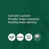 Standard Process Calcium Lactate Powder - Immune Support and Bone Strength - Bone Health and Muscle Supplement with Magnesium and Calcium - 12 Ounces