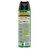 Raid House & Garden I, Indoor & Outdoor Insecticide Spray, 11 oz. (Pack of 1)