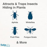 Safer Home SH5026-3SR Houseplant Sticky Stake Insect Traps for Indoor Plants - 48 Traps Included - Controls Aphids, Whiteflies, Fruit Flies, Fungus Gnats, and Other Insects
