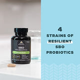Ancient Nutrition Probiotics for Mental Clarity, Once Daily Probiotics 30Ct, Helps Promote Mental Clarity and Concentration, Supports Healthy Energy and More Restful Sleep, 25 Billion CFUs*