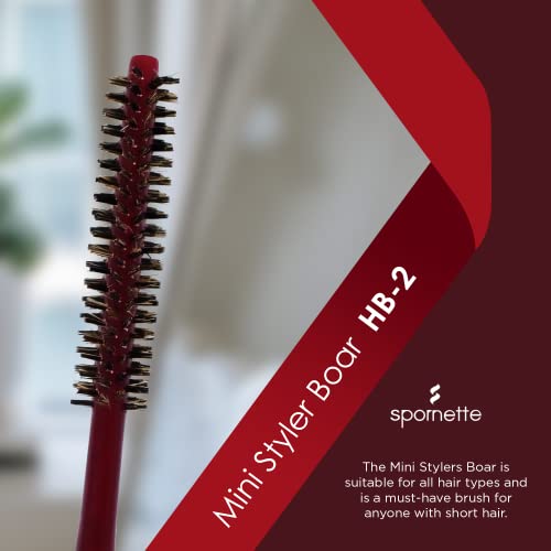 Spornette Mini Styler Boar Bristle .75 inch Round Brush (#HB-2) for Blowouts, Volume, Styling, Finishing, Curling & Setting Short, Curly, Wavy, Straight, Thick, Normal or Thin Hair on Men & Women