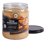 Pumpkin Spice Odor Eliminating Highly Fragranced Candle - Eliminates 95% of Pet, Smoke, Food, and Other Smells Quickly - Up to 80 Hour Burn time - 12 Ounce Premium Soy Blend