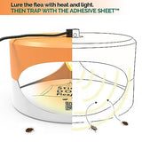 Orange and White Gray Aspectek Sticky Dome Flea Trap with 2 Sticky Discs. Odorless Insect Traps, Effective for Indoor Use - 2 Pack
