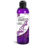 Coralline Algae in a Bottle, Purple Helix Plus Version, Live Spores + Nitrifying Bacteria