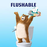 Charmin Freshmates Flushable Unscented Wet Wipes, 12 Packs, 40 Sheets Per Pack, Prime Pantry