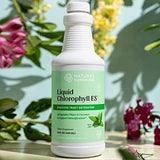 Nature's Sunshine Liquid Chlorophyll Extra Strength - Immunity Support, Detox & Cleanse, Chlorophyll Liquid Drops with Spearmint Oil, Natural Energy Boost, Internal Deodorant - 16 Fl Oz