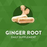 Nature's Way Ginger Root, Traditional Digestive Support*, 1,100 mg, 240 Vegan Capsules