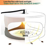 ASPECTEK - Trapest Sticky Dome Flea Bed Bug Trap with 2 Glue Discs. Odorless Cleaner and Flea Killer Trap Pad (Flea Trap)