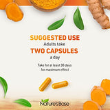 Turmeric and Ginger Supplement - Turmeric Curcumin Pills - with Apple Cider Vinegar & BioPerine Black Pepper - 95% Curcuminoids -120 Capsules