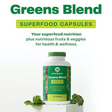 Amazing Grass Greens Blend Superfood Capsules: Super Greens with Organic Spirulina, Chlorella, Beet Root Powder, Digestive Enzymes & Probiotics, 150 Capsules (Packaging May Vary)