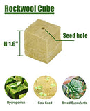 BIOMAND 1.5” Rockwool Starter Plugs for Hydroponics, Rockwool Grow Cubes, 4 Sheets of 49 Plugs, 196 Plugs Total