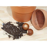 Avocado Tree Potting Soil Mix (12 Quarts), for Germinating, Growing and Repotting Avocado Plants