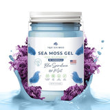 TrueSeaMoss Wildcrafted Irish Sea Moss Gel – Nutritious Raw Seamoss Rich in Minerals, Proteins & Vitamins – Health Supplement, Vegan-Friendly Made in USA (Blue Spirulina)