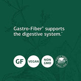 Standard Process Gastro-Fiber - Whole Food Digestion and Digestive Health, Indigestion, and Cramps with Collinsonia Root, Apple Pectin, and Fennel Seed - 150 Capsules