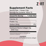 Zint Collagen Peptides Powder (32 oz): Paleo-Friendly, Keto-Certified, Grass-Fed Hydrolyzed Protein Collagen Supplements - Unflavored, Non GMO