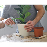 Premium Fiddle Leaf Fig Tree Soil (12 Quarts) - Expert Formula for Vibrant Growth - Nutrient-Rich Potting Mix, Specifically Designed for Healthy Indoor, Outdoor, and Potted Fiddle Fig Plants