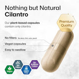 Cilantro Supplement - Organic Cilantro Capsules - Rich Source of Antioxidants - Natural Body Cleansing & Detox - Cilantro Powder 100 Vegan Pills