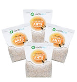 EarthKind Stay Away Ants & Cockroaches Deterrent Pouches - Easy-to-Use Botanical Pest Control for Kitchen, Pantry, Countertops - 4-Pack