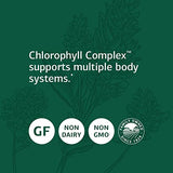 Standard Process Chlorophyll Complex - Immune Support, Antioxidant Activity, Skin Health and Hair Health Support with Vitamin A, Sunflower Lecithin, Buckwheat, Spanish Moss, and More - 60 Softgels
