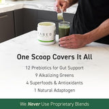 Kaged Organic Greens Superfood Powder | Lemon | Outlive100 | Wellness with Supergreens and Prebiotics | Apple Cider Vinegar | Ashwaghanda | 30 Servings