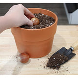 Avocado Tree Potting Soil Mix (12 Quarts), for Germinating, Growing and Repotting Avocado Plants