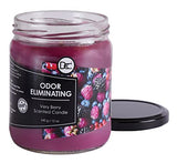 Very Berry Odor Eliminating Highly Fragranced Candle - Eliminates 95% of Pet, Smoke, Food, and Other Smells Quickly - Up to 80 Hour Burn time - 12 Ounce Premium Soy Blend