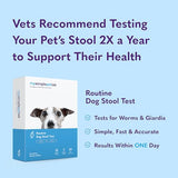 MySimplePetLab Routine Dog Stool Test Kit | Fast and Accurate Worms and Giardia Test for Dogs | Mail-in Stool Sample Kit Dog Test for Early Detection of Worms and Giardia