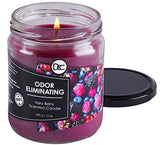 Very Berry Odor Eliminating Highly Fragranced Candle - Eliminates 95% of Pet, Smoke, Food, and Other Smells Quickly - Up to 80 Hour Burn time - 12 Ounce Premium Soy Blend