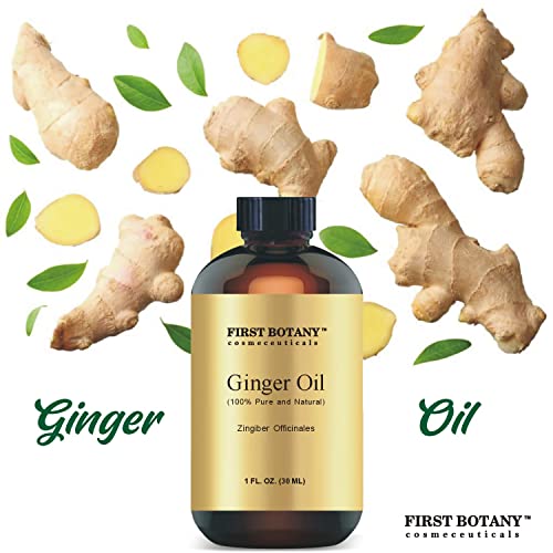 100% Pure Ginger Essential Oil - Premium Ginger Oil for Aromatherapy, Massage, Topical & Household Uses - 1 fl oz (Ginger)