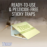 TERRO T2900 (Pack of 2) Pantry Moth Traps - Traps grain moths, flour moths, meal moths, and seed moths, (Packaging May Vary)