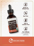 Organic Nascent Iodine Liquid Drops | 2 fl oz | Vegan Supplement | Non-GMO, Gluten Free | by Carlyle