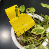 Garsum 42 Traps Sticky Houseplant Traps Gnat Yellow Insect Trap Indoor Fruit Fly Stakes Trap