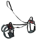 PetSafe CareLift Support Harness - Full Body Dog Lift Harness with Handle & Shoulder Sling - Great for Elderly Dogs, Hip Dysplasia, ACL Surgery - Designed to Help Them Up - Adjustable - Small