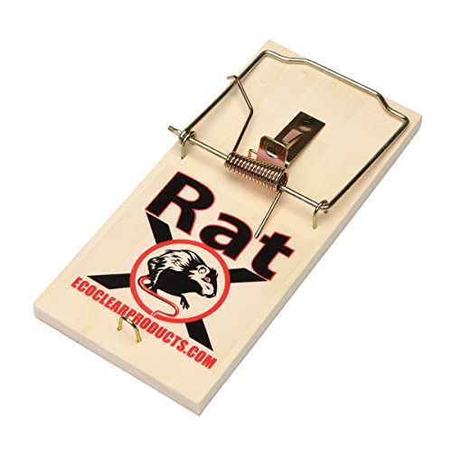 RatX Wood Traps (Pack of 12) for Rats, Mice & Rodents. EcoClear Products 620305