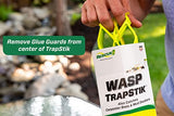 RESCUE! TrapStik for Wasps, Mud Daubers, Carpenter Bees - 2 Pack