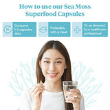 Atlantic Naturals Organic Sea Moss Capsules | Immune System, Thyroid Health, Beautiful Skin and Digestion Supplement | 120 Irish Sea Moss Capsules | Better Than Sea Moss Gel and Sea Moss Powder