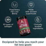Ancient Nutrition Advanced Collagen Powder Protein Lean with Probiotics and Vitamin C, Cinnamon, Hydrolyzed Collagen Peptides Supports Healthy Weight Management and Muscle Building, 25 Servings