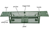 Live Animal Humane Trap 2-Door Mouse Trap Cage for Chipmunk, Rats, Squirrels, Voles, Rodent and Small Size Pests