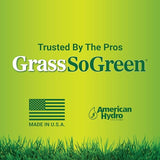 American Hydro Systems GrassSoGreen Maintenance Formula, Grass and Landscape Fertilizer, 1 Gallon Bottle