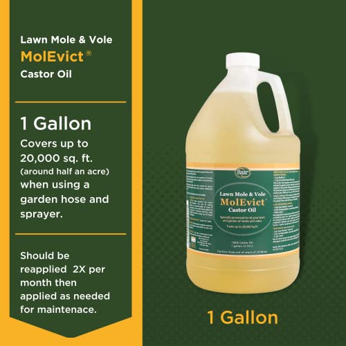 Baar Products - MolEvict Lawn Mole Castor Oil - Lawn & Garden Protection - Up to 20,000 Sq. Ft. of Coverage - 1 Gallon