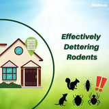 RibRave Mice Repellent for House, Natural Mice Repellent Pouches, Peppermint Oil to Repel Mice and Rats, Rodent-repelling Repellent Mouse Deterrent, 10 Packets