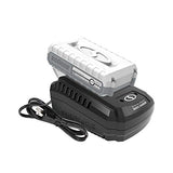 Snow Joe + Sun Joe 24V-2AMP-SK1R-P2 24-Volt iON+ Starter Kit, W/ 2.0-Ah Battery and Quick Charger