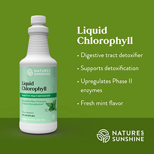 Nature's Sunshine Liquid Chlorophyll - Immunity Support, Detox & Cleanse, Chlorophyll Liquid Drops with Spearmint Oil, Natural Energy Boost, Internal Deodorant - 16 Fl Oz